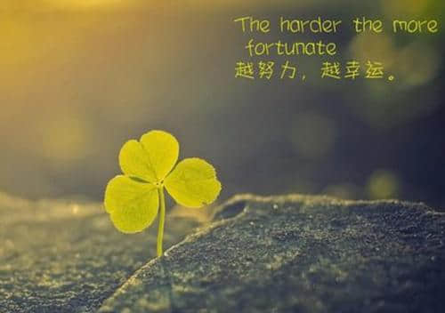 生命的韵味在于旅途而非终点