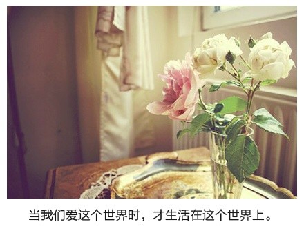 绝美带字图片精选
