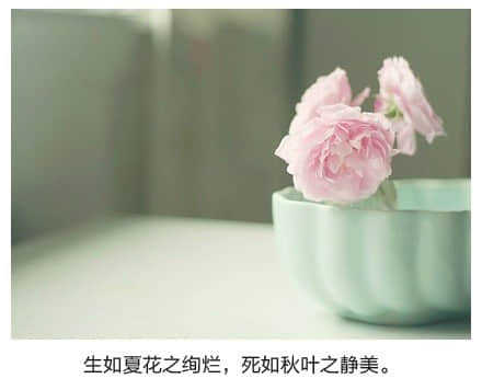 绝美带字图片精选