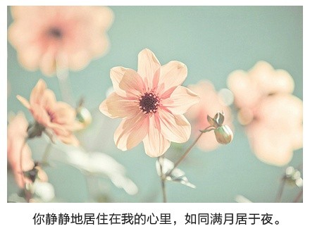 绝美带字图片精选