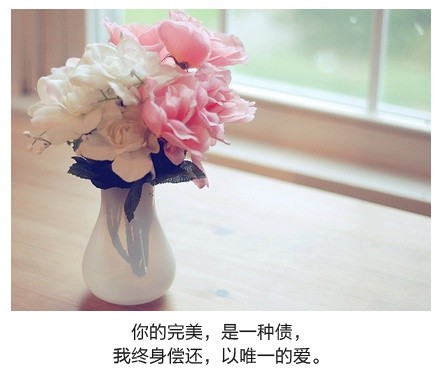 绝美带字图片精选