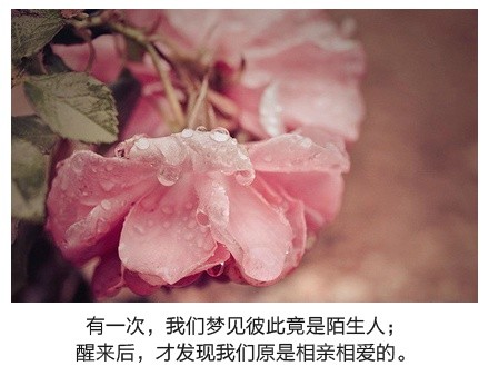 绝美带字图片精选