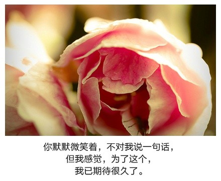 绝美带字图片精选