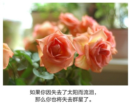 绝美带字图片精选