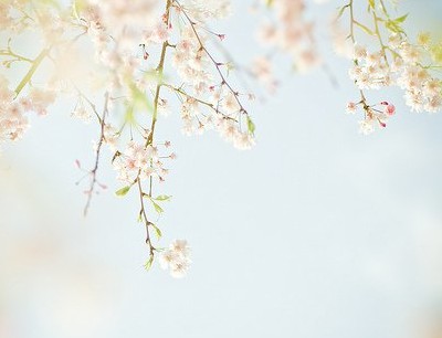 精选朋友圈语句：繁华落尽，不及你浅笑嫣然