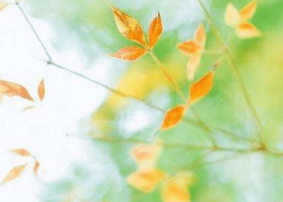 闪耀的光芒，你也可以拥有