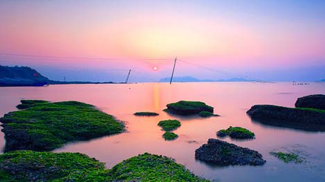 人生旅途中的唯一伙伴