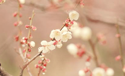 放弃也是一种选择，放弃不代表无能，而是因为有了更好的选择