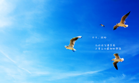 励志格言集锦