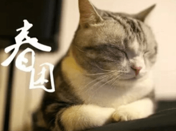 很有个性的说说图片:请原谅每一个不经意的沉默者吧!因为。。 很有个性的说说图片:请原谅每一个不经意的沉默者吧!因为。。