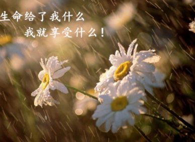 励志的说说图片带文字：若想翱翔天际，先需将视野超越地平