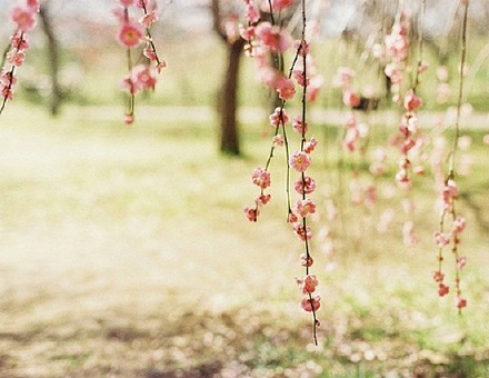 温馨语录图片 温馨语录图片