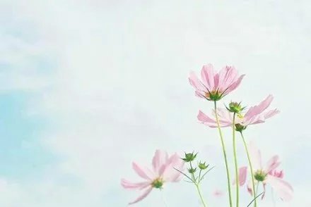 有点伤感的说说带图片 有点伤感的说说带图片