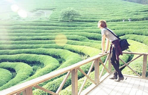 幸福不是一个地点,而是一个方向