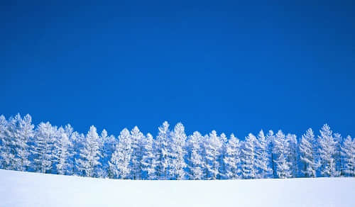 描写冬天雪景的段落 描写冬天雪景的段落