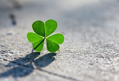 情感语录配图:爱情,若不全力以赴,便是一生遗憾。