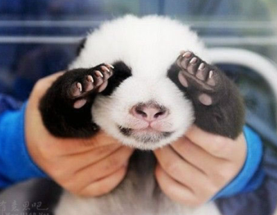 趣味语录1