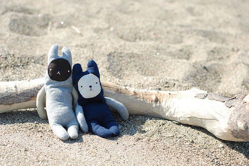 成长与未来的展望
