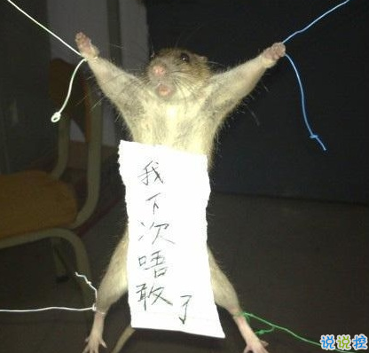 趣味满满的逛街趣事与搞笑瞬间16