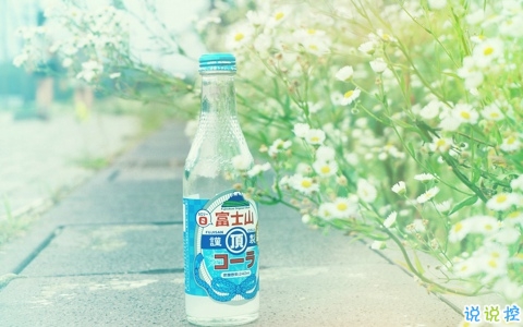 爱情中关于等待的句子和图片 等风也等你10