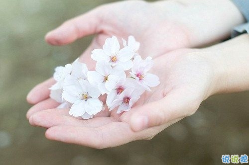 精选英文短句配图：世间繁华，独爱此间清欢8