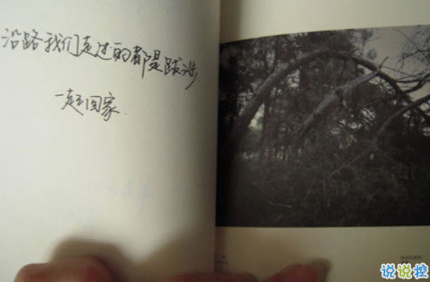 爱情语录2