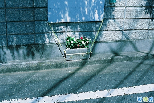 人生之路,跌宕起伏15