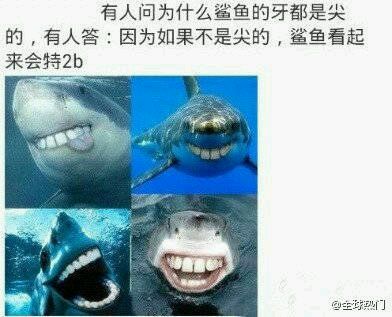 趣味图片分享2