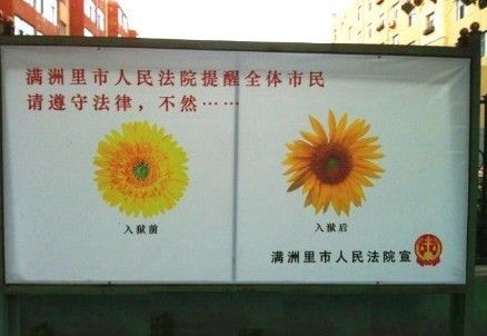 有趣的说说图片7