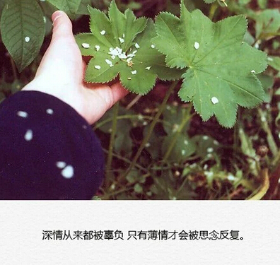 说说图片加文字7