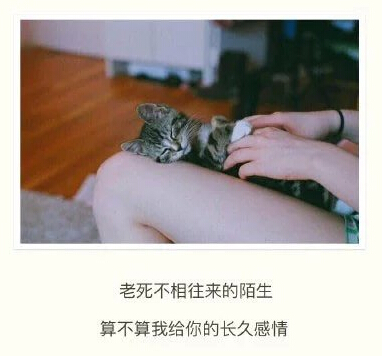 说说文字控图片6 说说文字控图片6