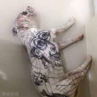 幽默说说大全带图片7