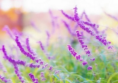 微信伤感说说：抛弃别人的人，永远都不可能得到爱
