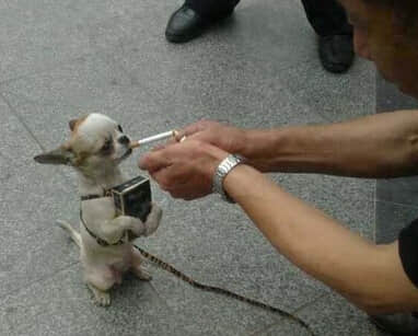 趣味搞笑短篇